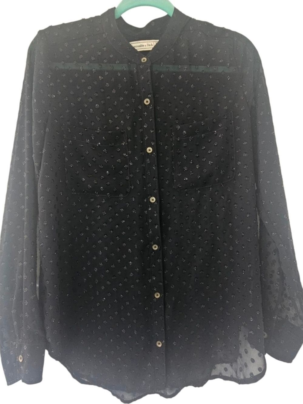 Abercrombie & Fitch sheer, textured button-down blouse.